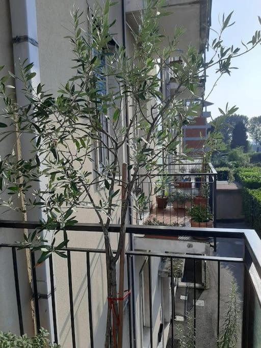 Mice Ottima Soluzione Per Il Centro E La Svizzera Apartment Como Bagian luar foto